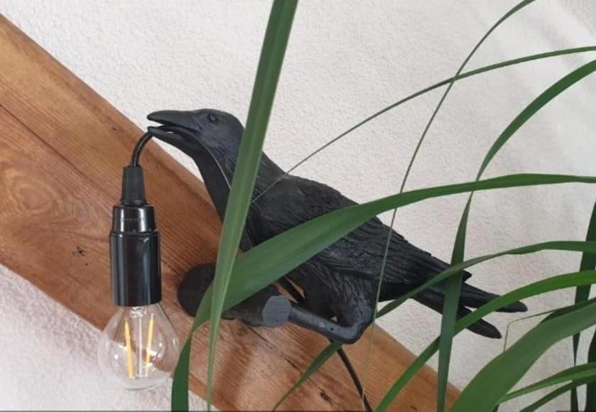 זנפטנברג Seensucht & Urlaubstraeume, Ferienwohnung "Strand-Romantik" מראה חיצוני תמונה